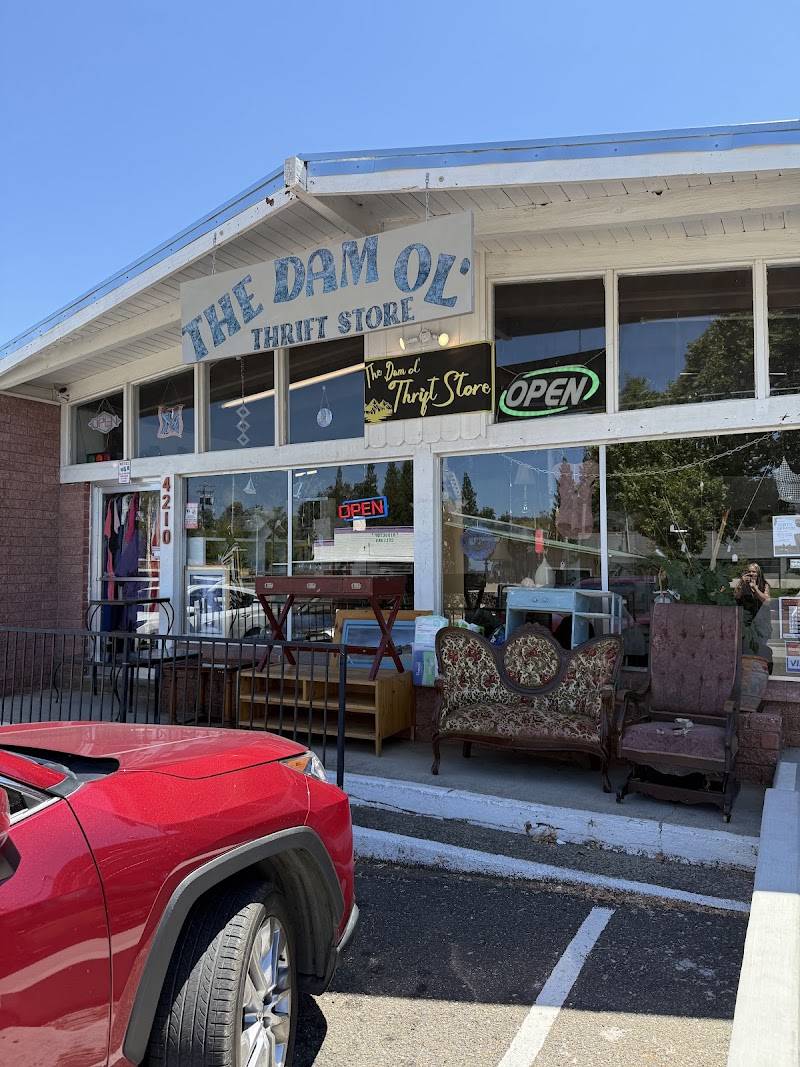 The Dam Ol’ Thrift Store