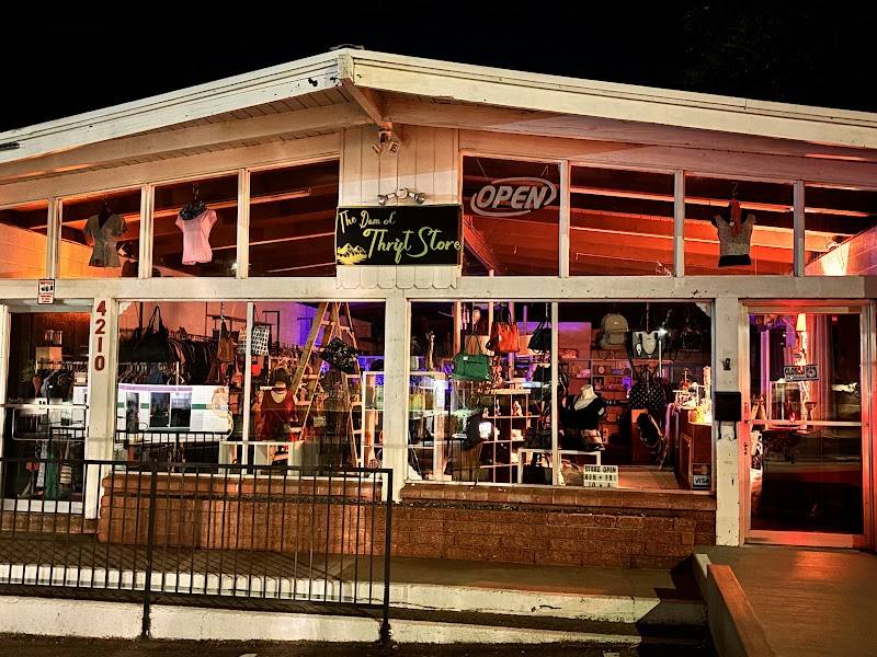 The Dam Ol’ Thrift Store