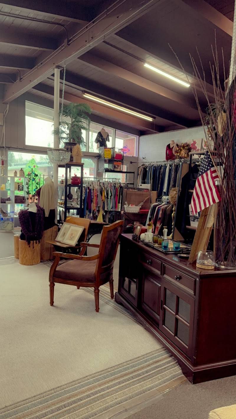 The Dam Ol’ Thrift Store