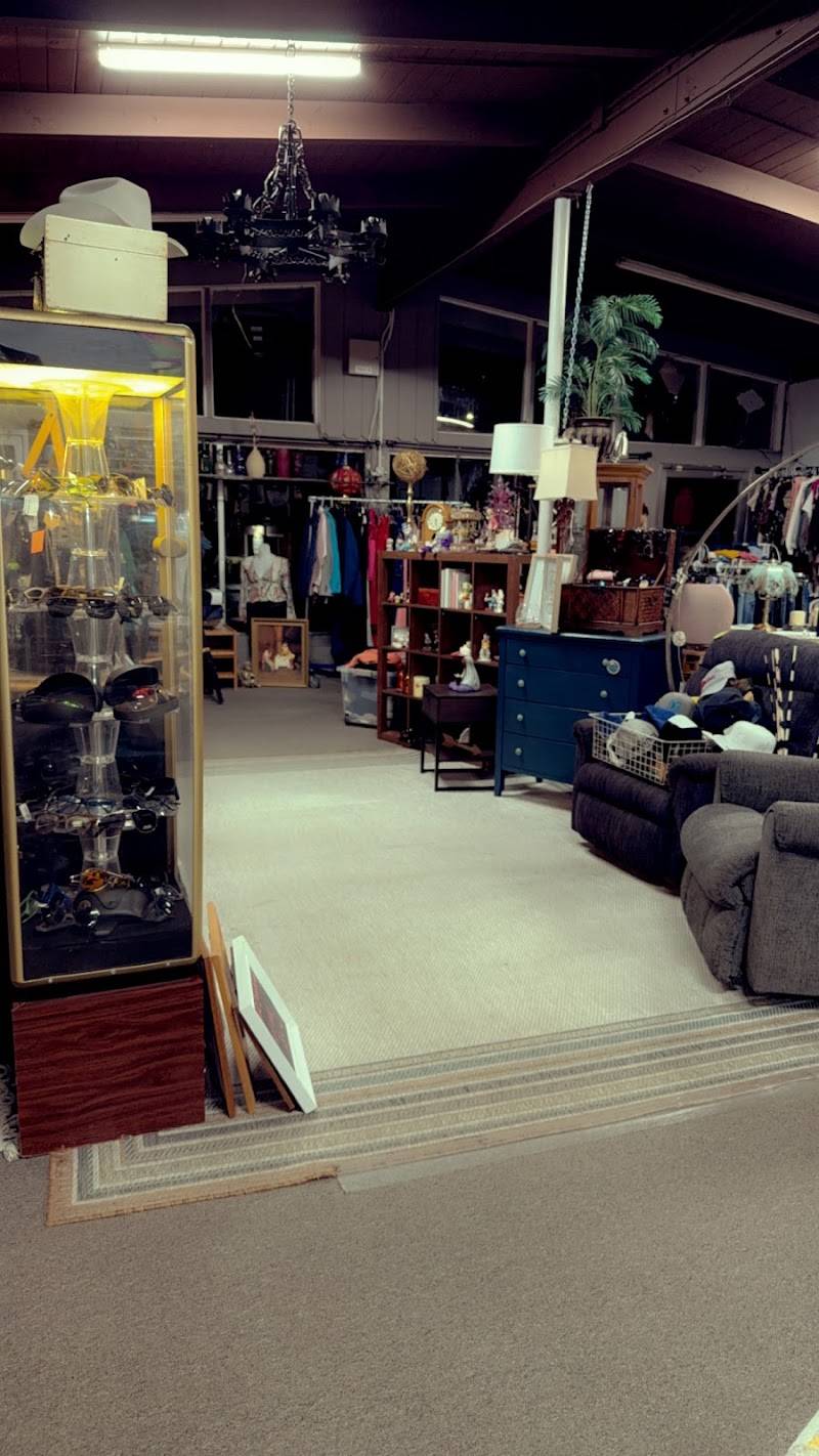 The Dam Ol’ Thrift Store