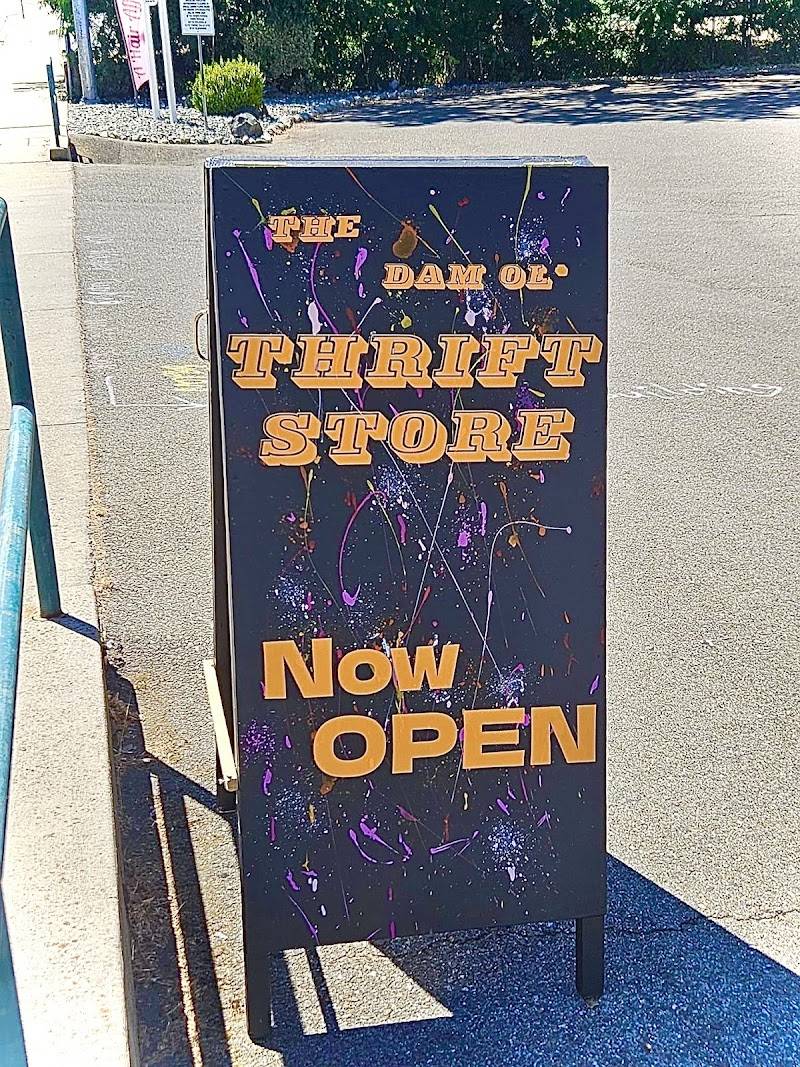 The Dam Ol’ Thrift Store