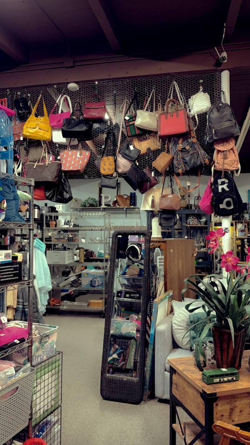 The Dam Ol’ Thrift Store